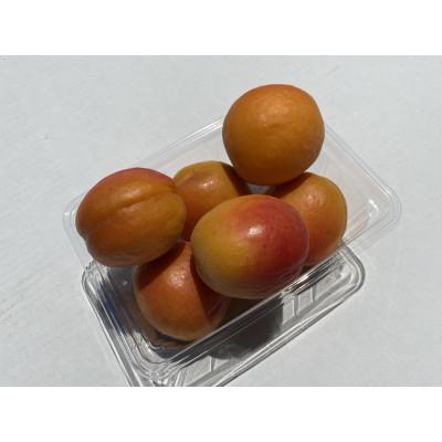 ふるさと納税 長野市 【令和9年産　先行受付】JAグリーン長野　あんず　生食用品種　ハーコット　500g×8パック |  | 01