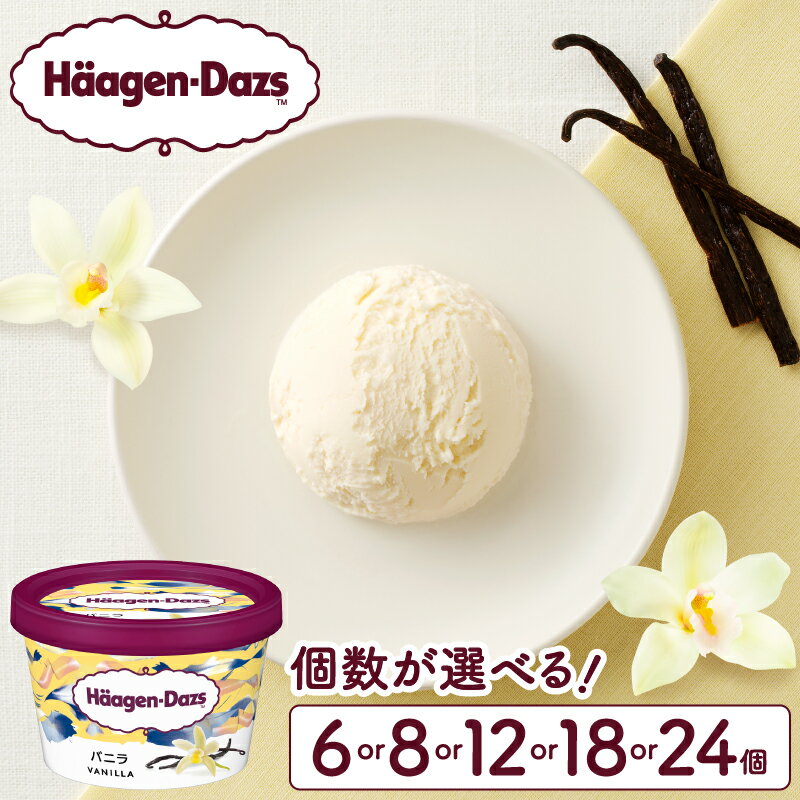 ハーゲンダッツ バニラ ミニカップ 8個 セット 詰め合わせ 110ml カップ アイス アイスクリーム 高級アイス バニラアイス HaagenDazs 国産 浜中町産牛乳 ミルク お取り寄せ お取り寄せスイーツ 北海道 浜中町 冷凍 送料無料