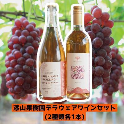 ふるさと納税 南陽市 漆山果樹園デラウェアワインセット(2種類各1本)【S1524】