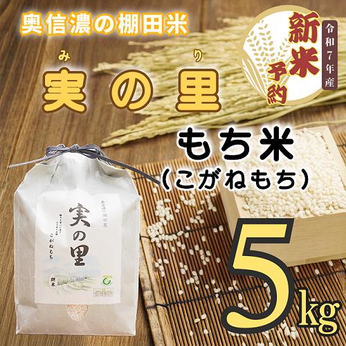 【先行予約】<令和７年産新米> 長野県産 もち米 こがねもち『奥信濃の棚田米 実の里 5kg』 (7-24) もち米5ｋｇ