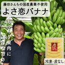 【ふるさと納税】 無農薬 冷凍 バナナ パック 800g 国産 藤田さんちの無農薬バナナ 化学肥料不使用 高知県 須崎市