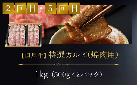 但馬牛プレミアム定期便【計６回】すき焼き・ステーキ・焼肉用（たれ・醤油付） AS1O1