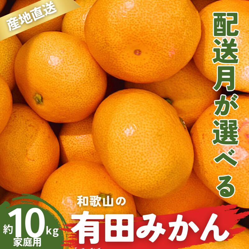 【ふるさと納税】 ＼配送月が選べる！／ 家庭用 有田みかん 和歌山 訳あり わけあり S～Lサイズ 大きさお任せ 10kg / みかん フルーツ 果物 くだもの 有田みかん 蜜柑 柑橘