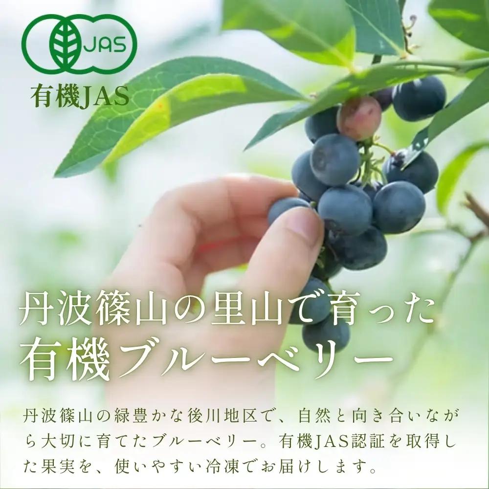 【予約数量限定】ブルーベリー 有機JAS認証 1kg 冷凍 無農薬