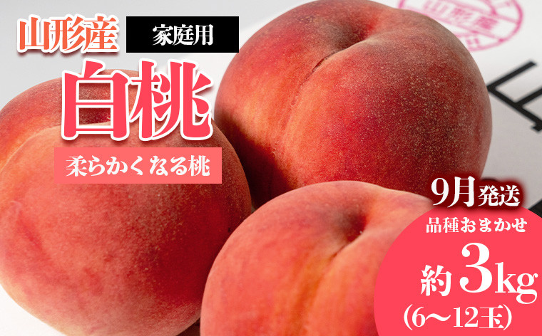 
            [ご家庭用]やまがたの桃 (白桃) 品種お任せ「柔らかくなる桃」9月 優品 約3kg(6～12玉程度) 【令和7年産先行予約】FS23-812 くだもの 果物 フルーツ 山形 山形県 山形市 2025年産
          