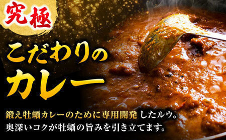 テレビで話題！『米粉の鍛え牡蠣カレー』180g×10個 牡蠣 かき カレー 中辛 グルテンフリー レトルト 保存食 簡単 広島県産 江田島市/有限会社寺本水産[XAE061]