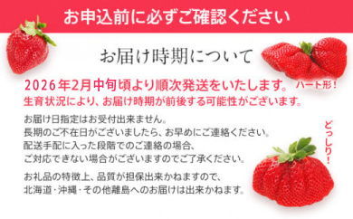 【アフター保証】博多あまおう 福岡県JAグループのブランド あまおういちご 1080g（約270g×4パック）JA福岡大城【2026年2月中旬から順次発送】AG010