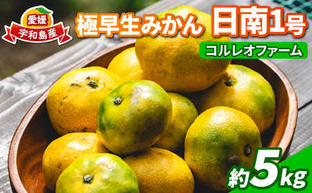 愛媛 極早生 みかん 日南1号 5kg コルレオファーム 愛媛みかん B010-145011