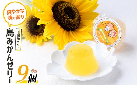 先人からの贈り物 島みかんゼリー(9個)【レガーレ・ワキタ】waki-7331