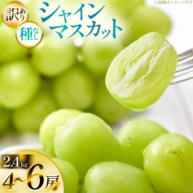 【期間限定発送】 シャインマスカット 訳あり 4～6房 約 2.4kg [Yamagenフルーツガーデンレコルト 山形県 高畠町 tk06ayt380000] ご家庭用 ぶどう ブドウ 葡萄 フルーツ 果物 くだもの 2.4キロ 甘い