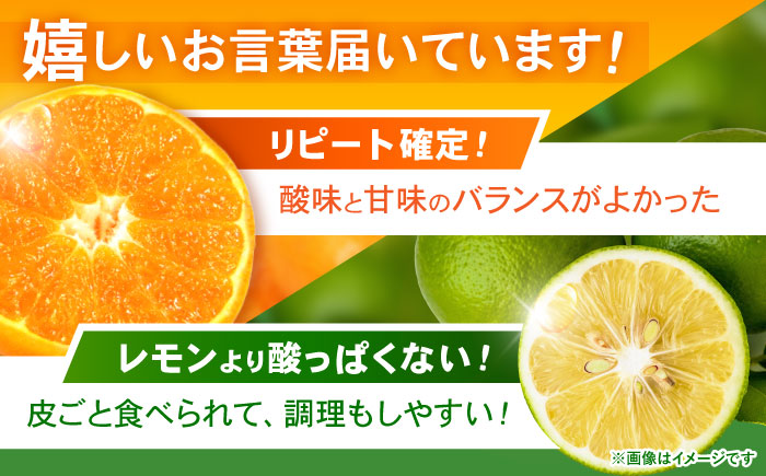 【大人気みかんとレモンのお試しセット】伊木力みかん(家庭用)1.8kg マイヤーレモン1.8kg 計3.6kg / みかん ミカン 蜜柑 mikan 柑橘 かんきつ レモン れもん 檸檬 果汁 果物 