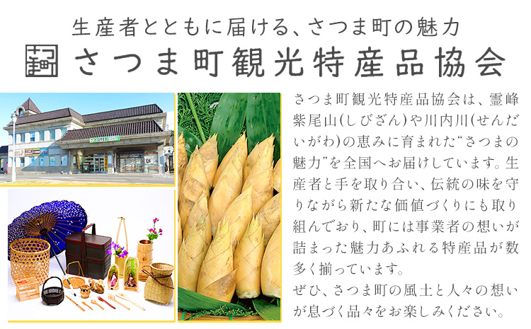 温泉 宿泊 補助券 チケット 紫尾温泉 宮之城温泉 温泉 5000円相当(1枚) さつま町観光特産品協会《30日以内に出荷予定(土日祝除く)》鹿児島県 さつま町 旅行 トラベル 補助券---stm-s