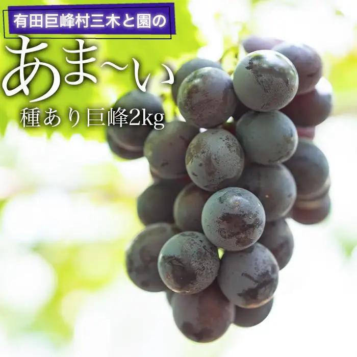 種あり巨峰2kg ぶどう 有田巨峰村 三木と園の露地栽培あま～い 先行予約