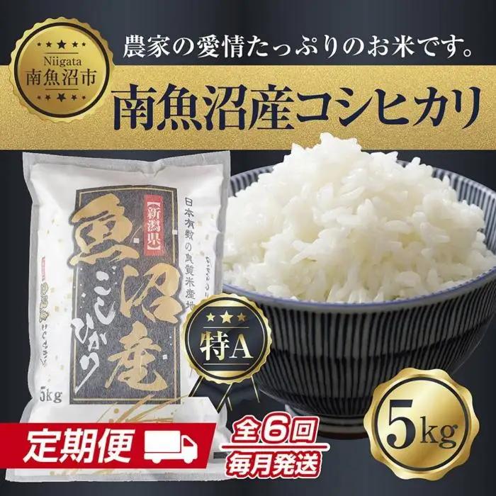 【令和7年産】【定期便】新潟県 南魚沼産 コシヒカリ お米 5kg×計6回 精米済み 半年 毎月発送 （お米の美味しい炊き方ガイド付き）