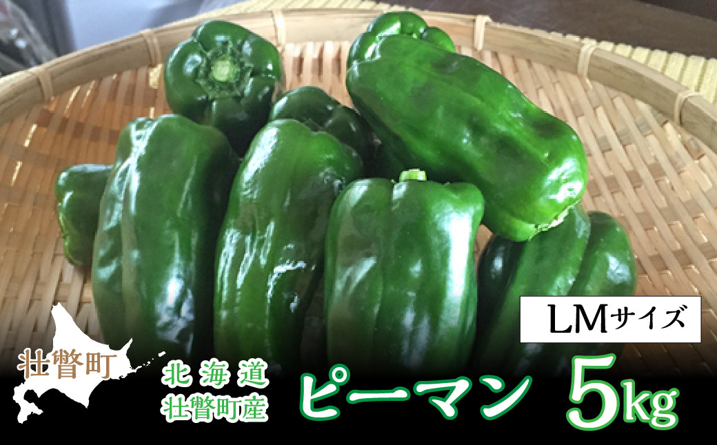 
                  【先行予約】北海道壮瞥町産 ピーマン 約5kg ＜2027年7月下旬よりお届け＞ 【 ふるさと納税 人気 おすすめ ランキング ピーマン ぴーまん 野菜 肉厚 食べやすい おいしい サラダ バーベキュー 肉詰め 北海道 壮瞥町 送料無料 】 SBTL014
                