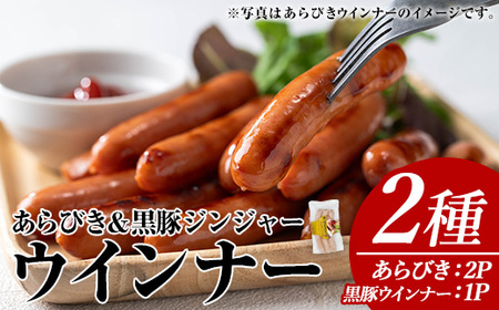 ウインナー セット (2種・あらびき 2P、ナンチク の 黒豚 MEGUMI ジンジャー1P) 豚肉【ナンチク】A778
