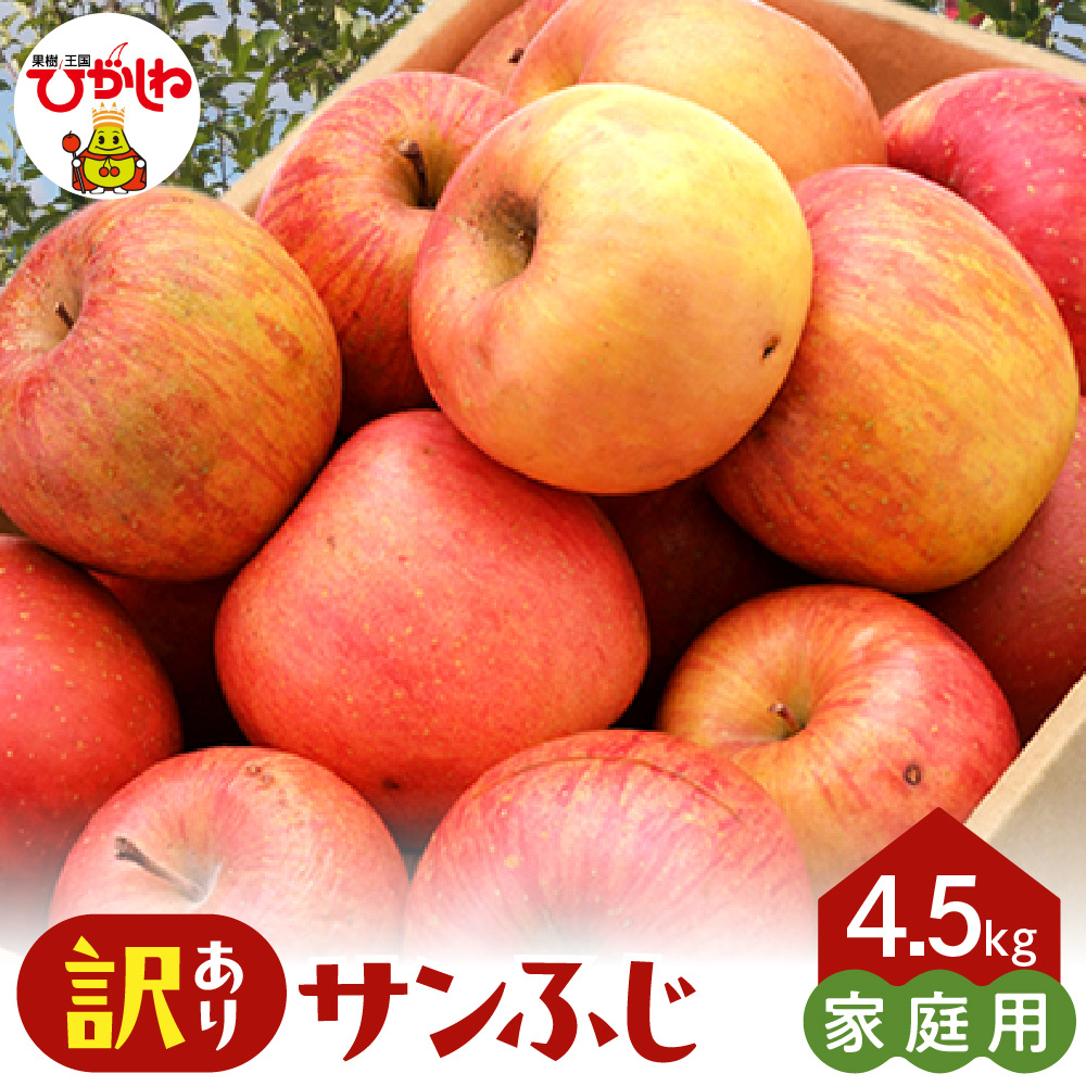 【2026年産】※訳あり※ サンふじ満杯詰(約4.5kg) 東根市 山形県 東根農産センター提供 hi027-203-r8