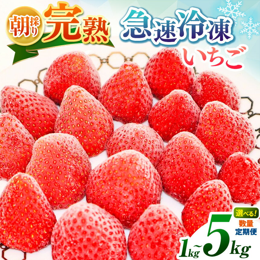 【ふるさと納税】≪5kg≫新登場！ 急速冷凍 完熟 冷凍いちご 1~5kg 選べる 定期便 | 国産 冷凍イチゴ 渡邉いちご園 冷凍便 果物 フルーツ スムージー くだもの いちご ヘタなし イチゴ 苺 冷凍 いちご 1kg 2kg 3kg 4kg 5kg1回 3回 6回 イチオシ 千葉 君津 きみつ