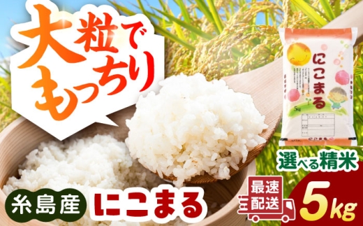 【玄米】【精米方法が選べる！】にこまる 5kg（5kg×1袋） 糸島市 / 玄米・精米専門店 新飼宗一郎商店 [ADE021-5]