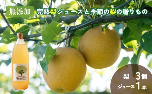 無添加・完熟梨ジュースと季節の梨の贈りもの（ジュース1本・品種おまかせ梨3個） ※北海道・沖縄・離島への配送不可 ※2025年8月上旬～10月上旬頃に順次発送予定