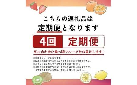 旬のフルーツ定期便 4回 Aコース フルーツ 定期便