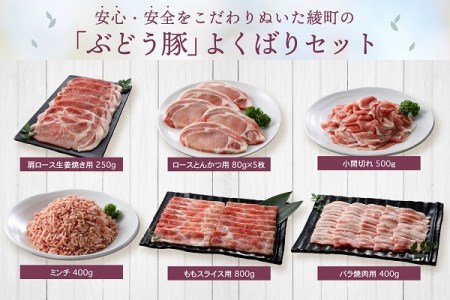 国産 豚肉 ブランド 豚 綾ぶどう豚 詰め合わせ よくばり セット 2.7kg 小分け 調理 バラエティー とんかつ 生姜焼き 焼肉 ミンチ 日時 指定 可能（22-35）