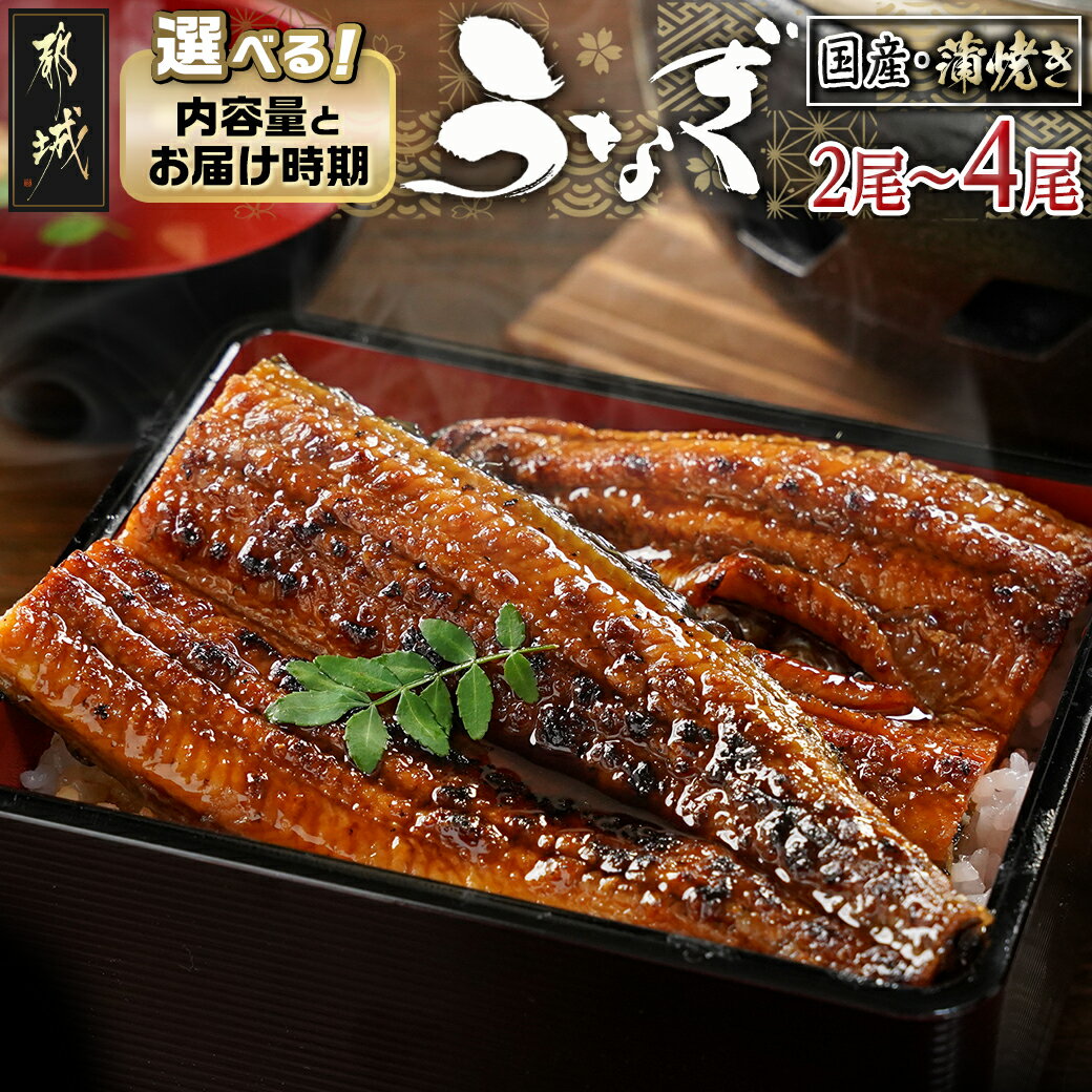 【ふるさと納税】【内容量＆発送時期が選べる！】職人手焼きの本格うなぎ蒲焼き - 鰻蒲焼 特製たれ 国産 2尾/3尾/4尾 10日以内お届け/翌月お届け 選べる うなぎ 父の日 丑の日 お中元 敬老の日 お歳暮 送料無料 SKU-3312【宮崎県都城市は2年連続ふるさと納税日本一！】