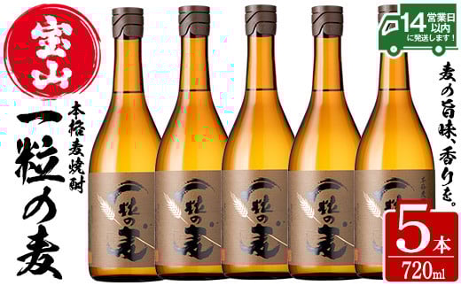 No.912 一粒の麦(720ml×5本)焼酎 麦焼酎 酒 アルコール 麦 家飲み 宅飲み 大麦 大麦麹 セット 常温 常温保存【西酒造】【913】