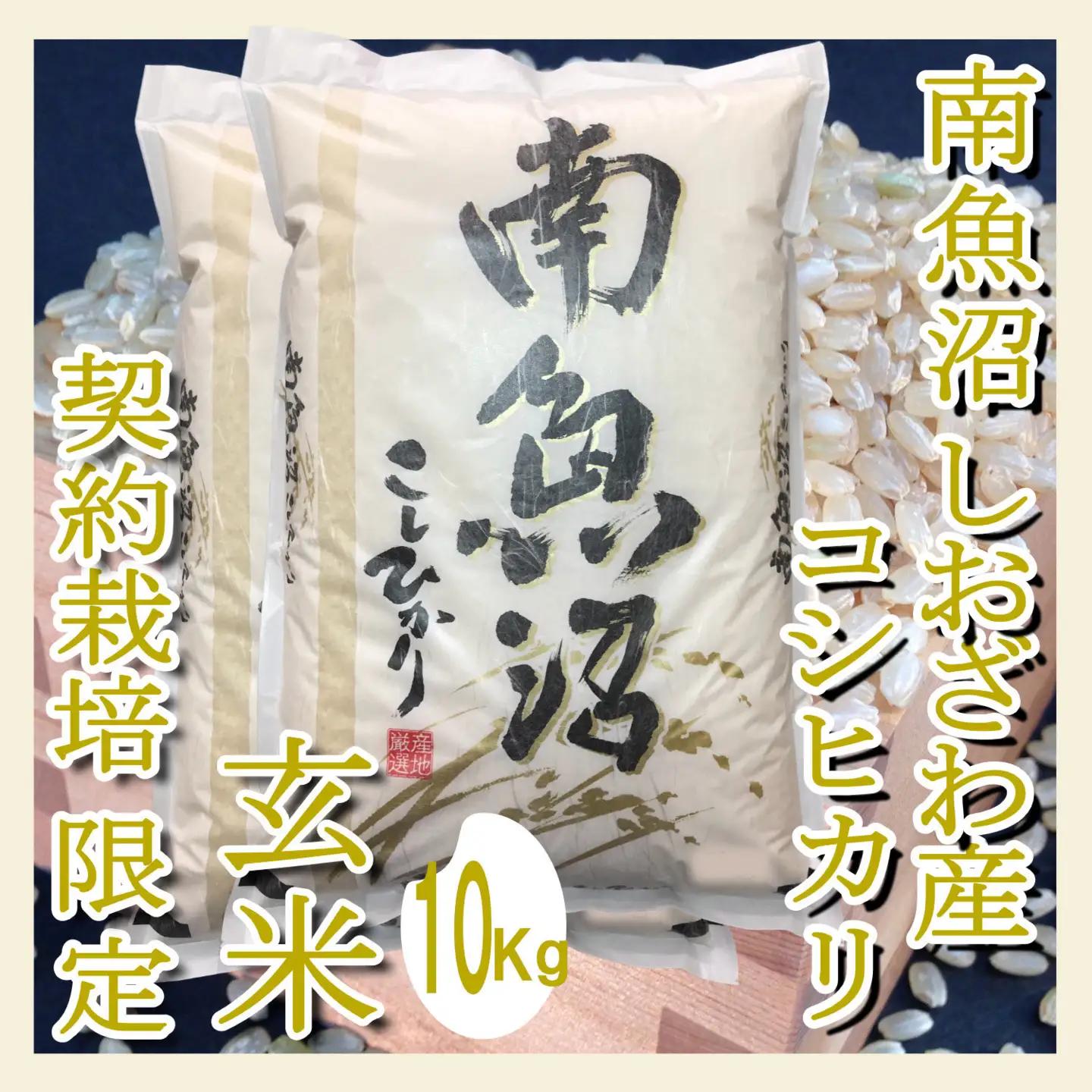 【令和7年】【定期便10Kg×6ヶ月】●玄米● 生産者限定 南魚沼しおざわ産コシヒカリ｜玄米
