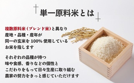 【令和7年産米】【2025年11月より順次発送】JAよりお届け！「ひのひかり」 10kg（5kg×2袋）[G2315]
