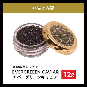 宮崎県産キャビア　EVERGREEEN　CAVIAR　エバーグリーンキャビア　12g  N0183-C221