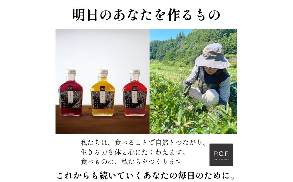 ちになるシロップ ＜大和当帰＞150ml 3種セット ／ふるさと納税 芍薬 生姜 棗 シロップ 瓶 ガラス瓶 国産 食材 炭酸 大和当帰葉 有機 お湯割り 甜菜糖 ハチミツ はちみつ 送料無料 ち 奈良県 宇陀市 POWER OF FOOD