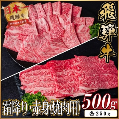【訳あり】飛騨牛 霜降り・赤身(焼肉用)500g【配送不可地域：離島】