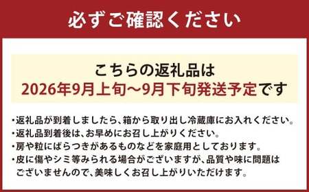 岡山県産 シャインマスカット 家庭用 約10kg マスカット ぶどう ブドウ 葡萄 果物 フルーツ 岡山県 倉敷市【2026年9月上旬～9月下旬まで順次発送予定】