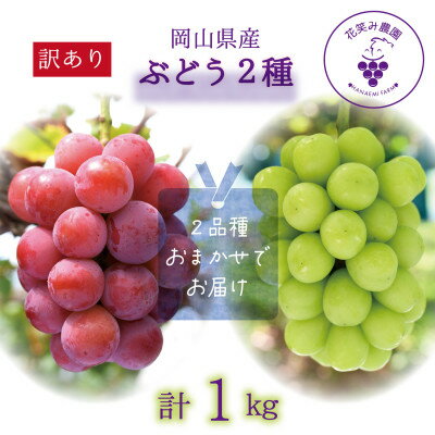 【ふるさと納税】岡山　花笑み農園の『訳あり2種MIX』ブドウ1kg　W2M-1【9月中旬～順次発送】【配送不可地域：離島】【1650786】