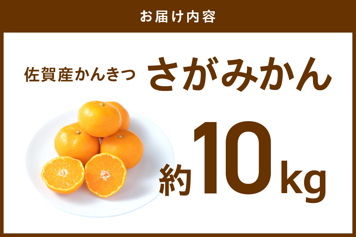 佐賀産 さがみかん 約10kg箱 (伊万里市) 柑橘類 147-B799
