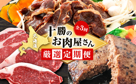 定期便 全3回 北海道産 豚肉 牛肉 セット ハンバーグ