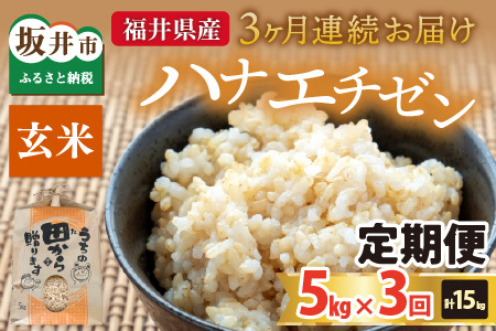 【先行予約】【令和8年産・新米】定期便 ≪3ヶ月連続お届け≫ ハナエチゼン5kg×3回 計15kg ～本原農園からまごころコメて～（玄米）【2026年9月上旬以降順次発送予定】 [C-8915_02]