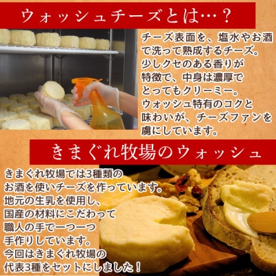北海道産ナチュラルチーズ3種　きまぐれ牧場　ウォッシュチーズ　お酒に合うおつまみ、晩酌に【配送不可地域：離島】