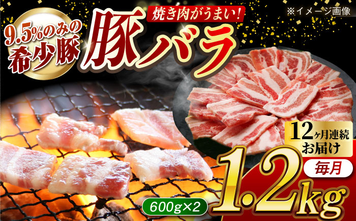 
            【月1回約1.2kg×12回定期便】大西海SPF豚 バラ（焼肉用）計約14.4kg 長崎県/長崎県農協直販 [42ZZAA095]
          