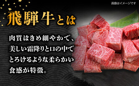 【10月発送】飛騨牛 サイコロステーキ 部位おまかせ 500g A5等級 和牛 ブランド牛 国産 牛肉 多治見市 / 渡辺精肉店 [TAZ038-10]