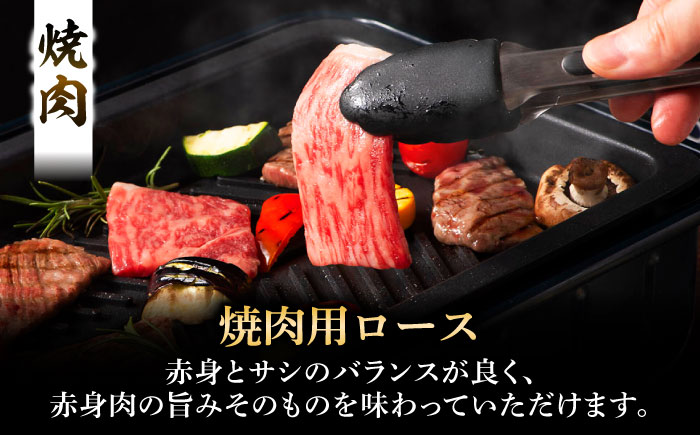 くまもと黒毛和牛「藤彩牛」 ロース食べ比べセット 計約1.2kg 【株式会社フジチク】 [BHAD127]