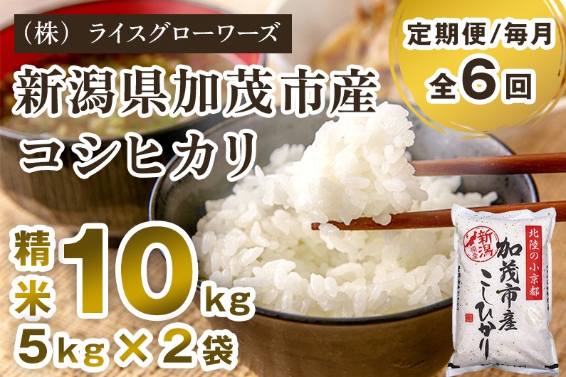 
                  【令和7年産】【定期便6ヶ月毎月お届け】新潟県加茂市産コシヒカリ 精米10kg（5kg×2）《順次出荷》 新潟県産コシヒカリ 新潟産コシヒカリ 新潟コシヒカリ 新潟県産こしひかり 新潟産こしひかり 新潟こしひかり コシヒカリ こしひかり お米 白米 米 定期便 （株）ライスグローワーズ
                