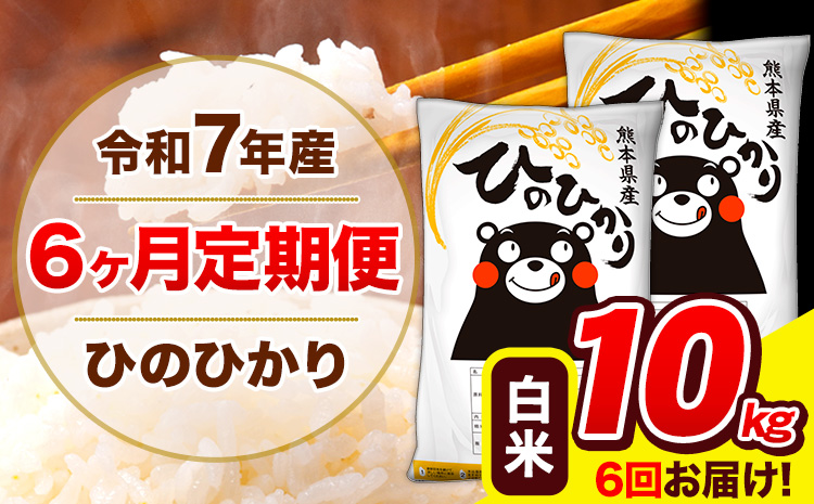 令和7年産 ひのひかり【6ヶ月定期便】白米  10kg (5kg×2袋) 計6回お届け 《お申込み翌月から出荷》 熊本県産 白米 精米 ひの 米 こめ お米 熊本県 長洲町---hn7tei_123000_10kg_mo6_ng_h---