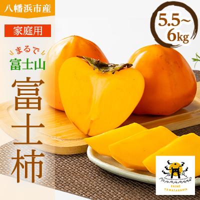 ふるさと納税 八幡浜市 【2026年発送】家庭用　富士柿　5.5kg〜6kg【C56-73】