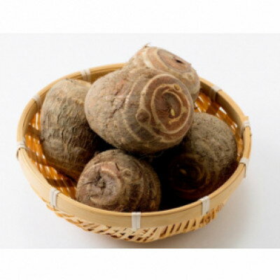 【ふるさと納税】里芋「縄文の里芋」5kg【1682097】