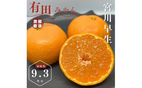 【ふるさと納税】【先行予約】有田みかん 早生 温州みかん 9.3kg（箱込み10kg）家庭用 S～Lサイズ おまかせ 柑橘 フルーツ みかん 産地直送 お取り寄せ 送料無料 温州ミカン
