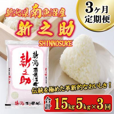 ふるさと納税 南魚沼市 【毎月定期便】南魚沼産新之助(精米) 5kg全3回
