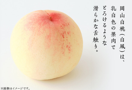 【ご家庭用】岡山白桃 白鳳 5～7玉