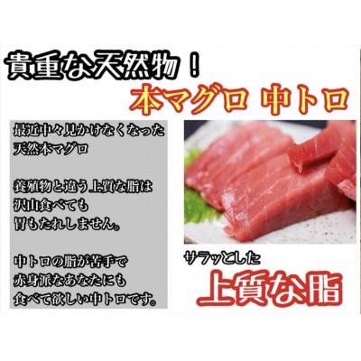 ふるさと納税 小田原市 天然本鮪中トロ 約200g×3柵　5〜6人前 上質な脂が美味しい中トロ!【神奈川県小田原市早川】 |  | 03